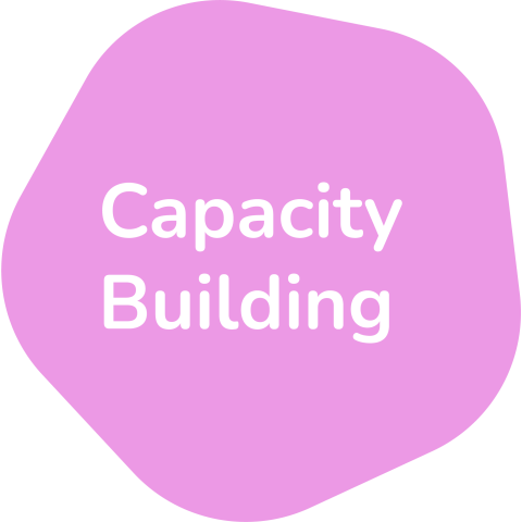 capacity building 