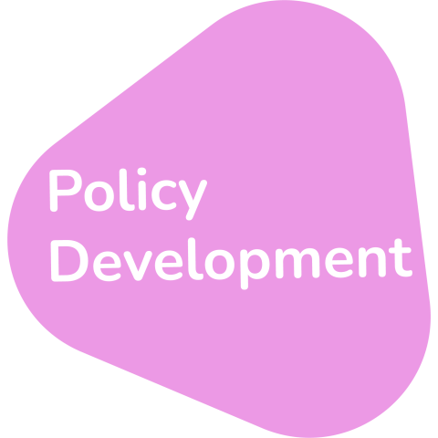 Policy development 